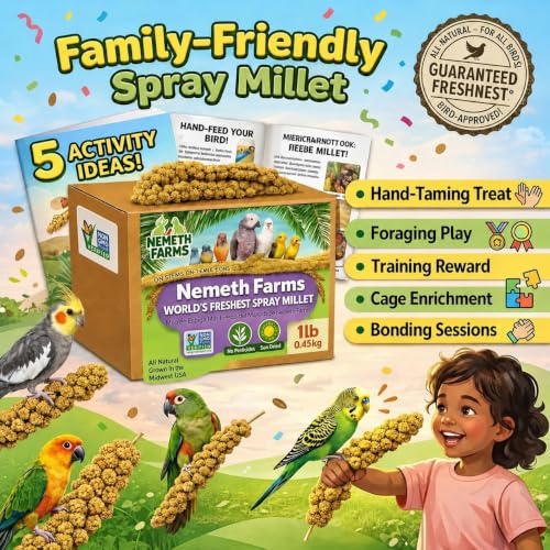 Nemeth Farms Spray Millet - Edible Tops Only, Non-GMO and Sun-Dried - 1 lb for Parakeets, Canaries and Finches - size: 1 Pound (Pack of 1)