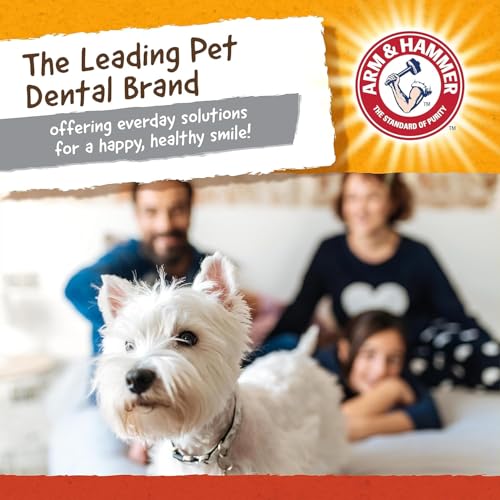 Arm & Hammer Super Treadz Mini Gorilla Dental Chew Toy, Small, 3.5 in, 24Pk - size: Small (Pack of 24), style: Gorilla