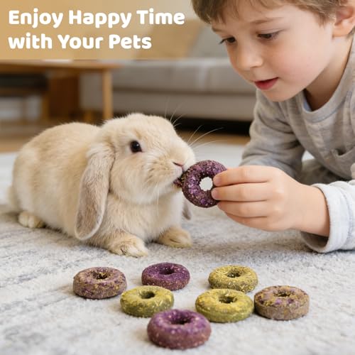 Fhiny 20 PCS Rabbit Chew Toys, Natural Timothy Grass Rabbit Treats with Three Flavors of Fruits and Vegetables, Strawberry and Oat, Small Animal Molar Toys for Chinchillas Guinea Pigs Hamsters