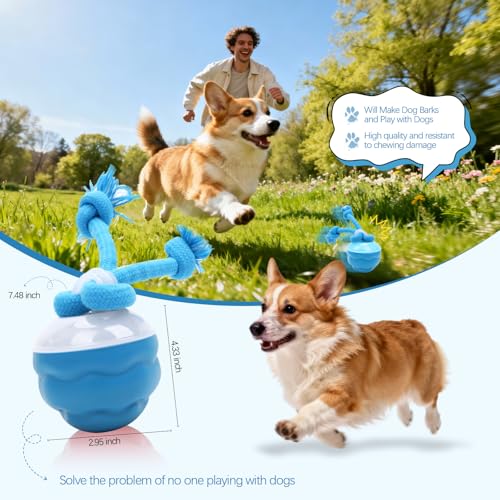 Goosheep 2026 New Interactive Dog Toys, Automatic Moving Dog Ball for Medium/Large Dogs, Interactive Smart Rolling Dogs Toy Ball with Light Up to Keep Them Busy(Blue) - color: Blue