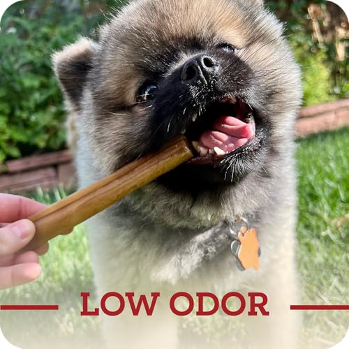 Redbarn Natural Large 12" Beef Collagen Braids - 2 Pack - Long Lasting Low-Odor Alternative to Rawhide & Bully Sticks -Single Ingredient Chew for Medium Large Dogs - size: Large 12" (2 Count)