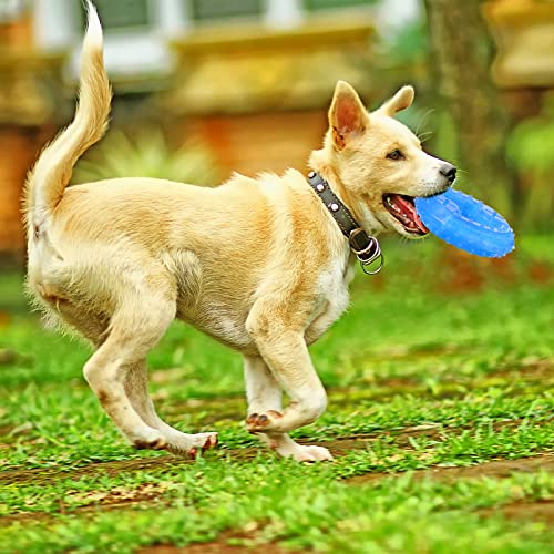 Hungdao 2 Pcs Freezable Puppy Teething Toys Ice Ring, Freezable Dog Toy
