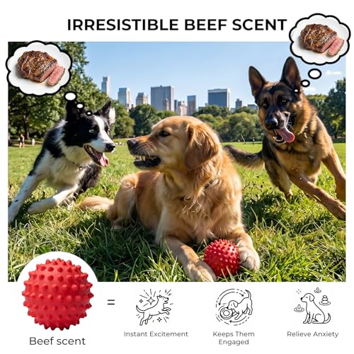 3.5''Durable Squeaky Dog Ball for 25-80lbs Aggressive Chewers - color: 1 PC-Beef-Red