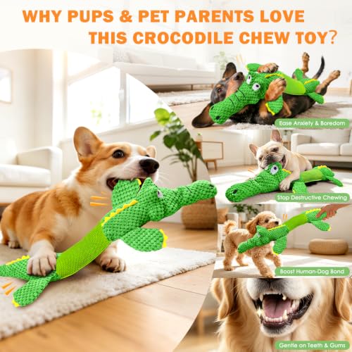 WOWBALA Dog Squeaky Toys Stretchable Crocodile for Interactive Tug of War - color: Green