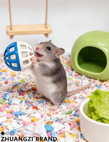 ZHUANGZI 5-Pack Bell Ball Hamster Toys for Dwarf Hamsters and Gerbils - size: 1.5''