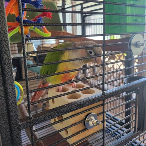 QBLEEV Bird Wooden Block Puzzle Parrot Chicken Foraging Toys, Small Animal Shredding Teething Parakeet Cockatiel Conure Budgie Cage Toys - color: Block Puzzle L