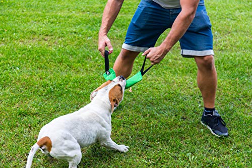 Bull Fit K9 Dog Bite Tug Toy with 2 Strong Handles - Made of Durable & Tear-Resistant French Linen - Perfect for Tug of War, Fetch & Puppy Training - Ideal for Medium to Large Breeds - color: Pink