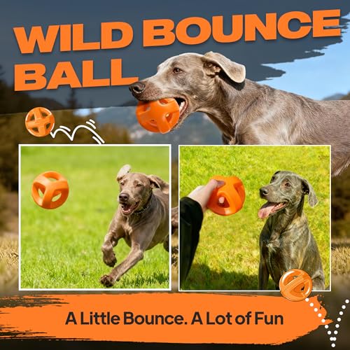 Fida Natural Rubber Dog Balls for Aggressive Chewers, Durable Dog Chew Toys for Large Dogs, Interactive Fetch & Tug of War Toys for Medium Large Breed Non-Toxic Dish Washable,4.5 * 4.5" - color: Sunrise Orange