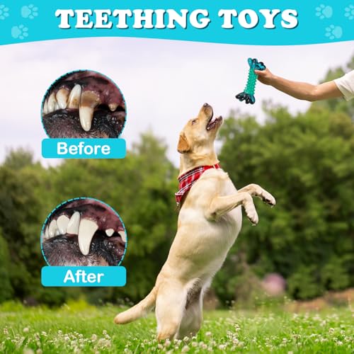 Durable Nylon Dog Bones for Aggressive Chewers,Indestructible Dog Toy,Dog chew Toys–Bacon Scented Tough Chew Toys for Medium and Large Breeds