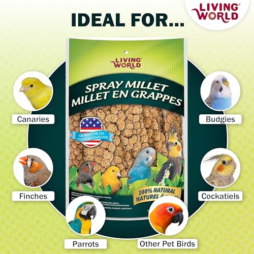 Living World - Millet Spray for Birds, 7 Oz - size: 7 Ounce (Pack of 1)