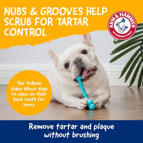 Arm & Hammer Nubbies T-Bone Dental Dog Chew Toy, Peanut Butter Flavor - color: Blue T-Bone, size: 1 Count