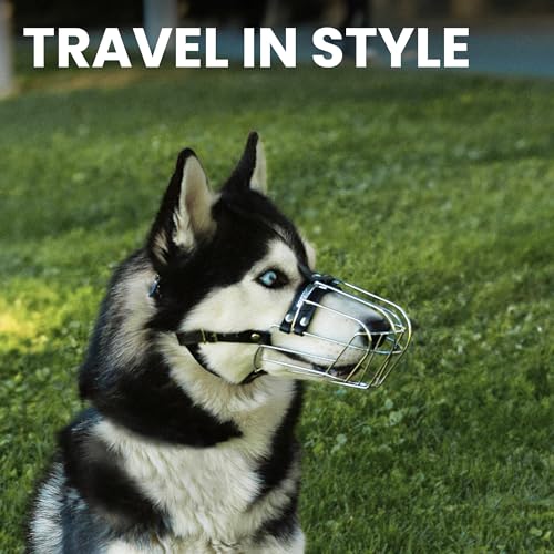 BRONZEDOG Stainless Steel Wire Basket Dog Muzzle for Husky - size: Husky