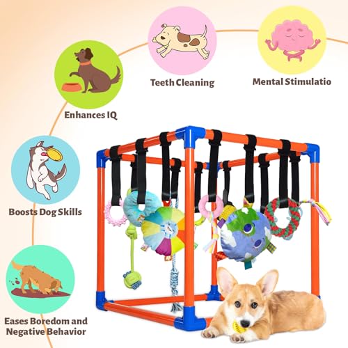 Puppy Play Gym with 15 Hanging Toys for Small Dogs, PVC Frame with Bungee Straps, Interactive Indoor Jungle Playground for Entertainment, Teething and Mental Stimulation - color: Orange, size: 15 Toys
