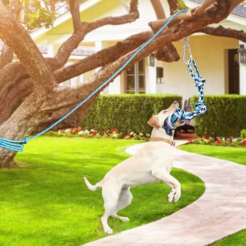 LOOBANI Spring Pole Toy for Pitbull: Bungee Tug War Toys，Blue - color: Blue+White