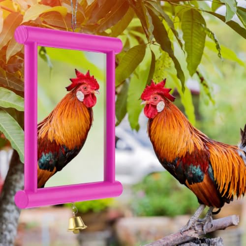 Sadnyy Extra Large Chicken Mirror Toy for Coop Square Double Side Mirror - color: Rose Red, size: Square