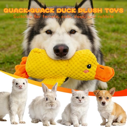Calming Duck Squeaker Toy for Ferrets, New Interactive Yellow Duck Ferret Toy to Play with, Soft Stuffed Plush Ducks Ferret Toys and Enrichment with Quacking Sound for Ferret Keep Busy