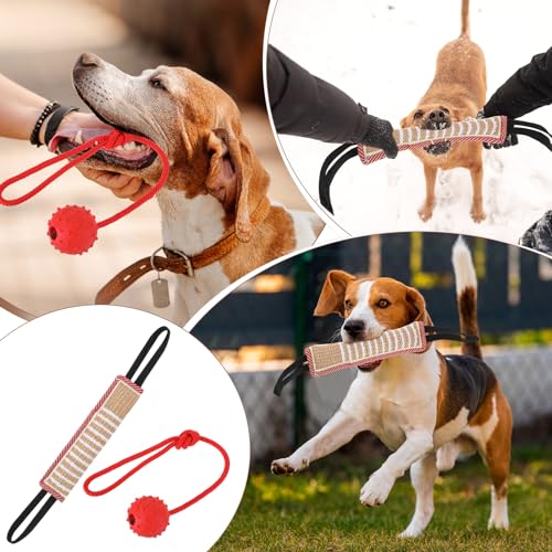 Leyndo 4 Pcs Dog Training Sleeve Set with Tug Pillow Stick Ball, Red - color: Red
