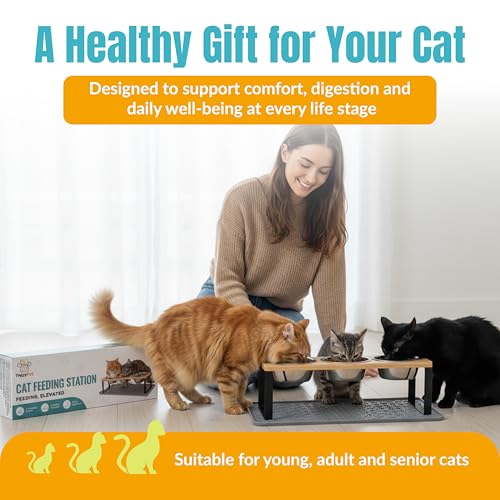 Raised Cat Food Bowls-3 Bowl Elevated Cat Feeding Station with Mat
