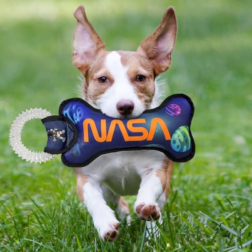 Pets First NASA Dog Toy with Planets. - Tough Nylon Pet Toy with Double Trim Stitching & Inner Squeaker - style: Dental Toy- Planets