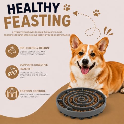 Woowoowoof Slow Feeder Dog Bowl | Medium Silicone Puzzle Feeder Improves Digestion 10x Slower Eating| Anti-Gulping Non-Slip Base, Helps Prevent Bloating |1L Capacity, 10.0in x 1.45in (Black) - color: Black, size: Medium