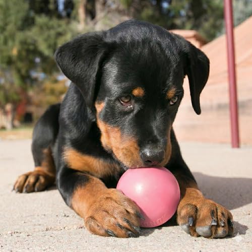 KONG Puppy Ball with Hole, Natural Rubber Teething Toy, Small Puppies, Pink - color: Pink, size: Small (Pack of 1)