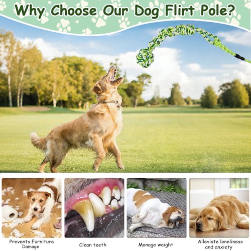 Flirt Pole for Dogs & Suction Cup Dog Tug Toy Heavy Duty, Interactive Chase & Tug of War Teaser Wand with Detachable Replacement Knot Ball and Rope Chewing Toys Flirt Stick