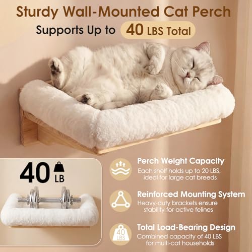 6-in-1 Cat Wall Shelves for Large Cats, Wall Mounted Climber with Hammock - color: White