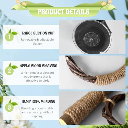 La La Pet Suction Cup Bird Perch Swing and Ring Set Sucker Bird Standing Rack Multifunctional Wooden Parrot Toy for Small and Medium Birds Cockatiel Parakeet Lovebirds Large