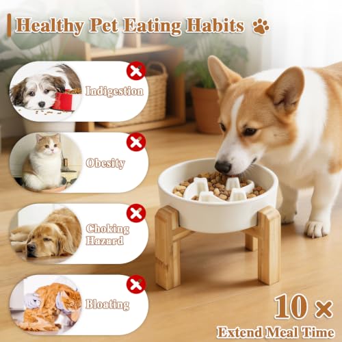 6.3” Elevated Slow Feeder Dog Bowls,Ceramic Slow Feeder Dog Bowl with Stand - color: White-M
