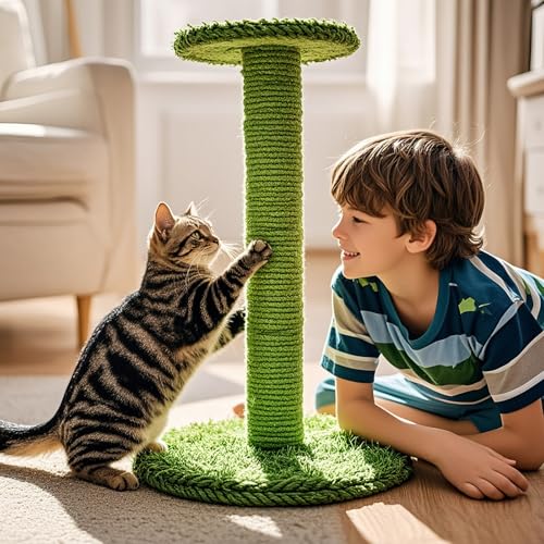 PowerKing Natural Sisal Replacement Scratching Post, 4 Pieces M8 Cat Scratch Post Refill Pole Parts for Refurbishment, White, Include Screws (Green-15.7''+15.7''+7.87''+7.87'') - color: Green, size: 15.7''+15.7''+7.87''+7.87'' (2.67''Thick)