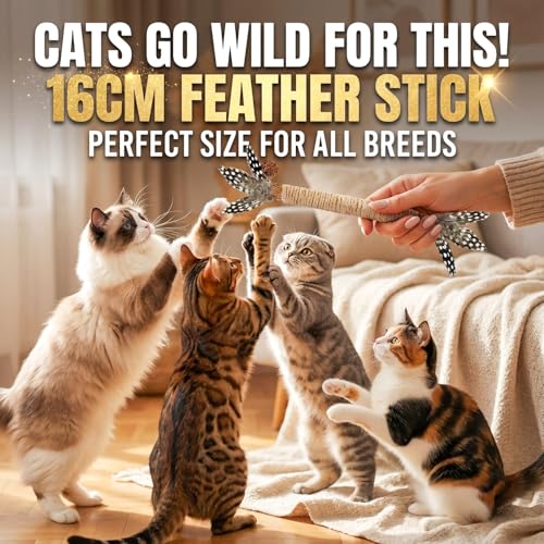 Cat Chew Toys Silvervine Sticks Dental Treat Feather 3Pack Indoor - size: Pro-3 Pack