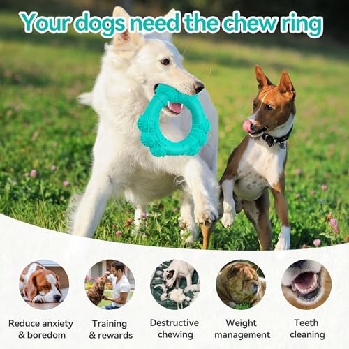 Indestructible Dog Chews - Super Duty Chew Toys for Aggressive Dogs, Puppy Teething Relief & Interactive Play - color: Green