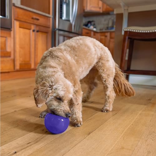 Outward Hound Lil' Snoop Interactive Treat Dispensing Dog Toy, Purple, 3.9" - color: Purple Lil Snoop
