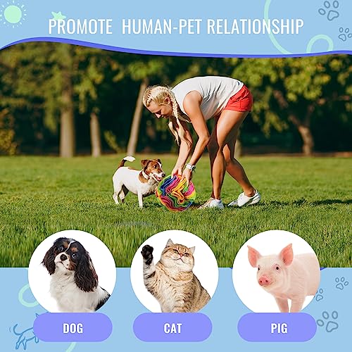 Pet Snuffle Ball, Puzzle Sniffing Interactive Dog Ball for Blind Dogs Training Stress Relief Dog Enrichment Toys Treat Machine Washable (New Rainbow Color, 10cm) - color: New rainbow color, size: 10cm