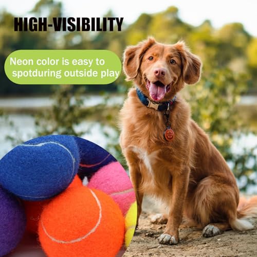 Magicorange Large Tennis Balls for Dogs, 2 Pack 4 Inch Big Tennis Ball - size: 2 pack