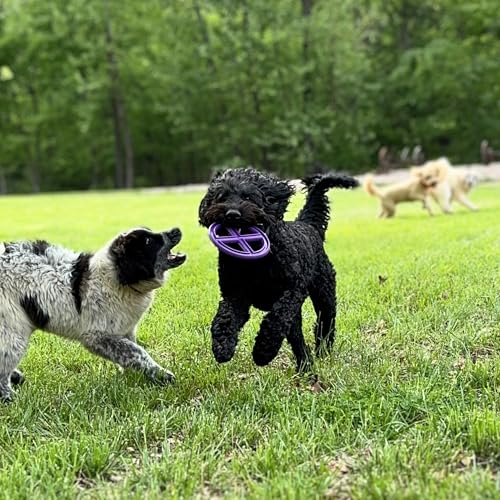 Flexible Flying Disc - Durable Floating Dog Toy for Fetch, Tug, Treat Filling, Made in USA, FDA Compliant TPE, Medium/Large Dogs, Blue - color: Blue