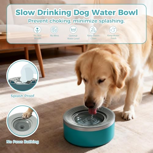 Stainless Steel Dog Water Bowls, No Spill Water Bowls for Dogs, Lakeblue - color: LakeBlue