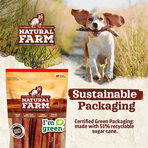 Natural Farm Filled Dog Bones, Bacon & Cheese Flavor (5-6 Inch, 3 Pack), Limited Ingredient Stuffed Dental Dog Bone Treats for Large Dogs - size: 5-6" Bacon & Cheese Flavor, 3 Count