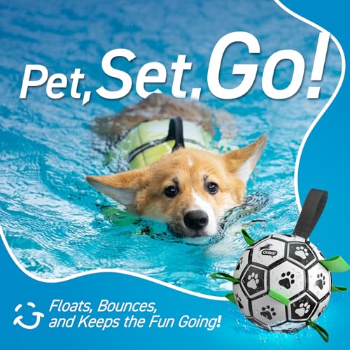 QDAN Dog Soccer Balls with Bell Inside, Squeaky Dog Balls, Birthday Gifts - color: Squeaky Green, size: Medium Size 2 (6 Inch)