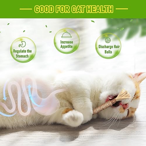 BAWAN Silvervine Sticks Cat Chew Toys for Indoor Cats Dental Care Teeth Cleaning, Natural Kitten & Cat Teething Toys for Health, Cat Chew Stick Suitable for All Breeds of Aggressive Chewers Cat - size: 5PCS