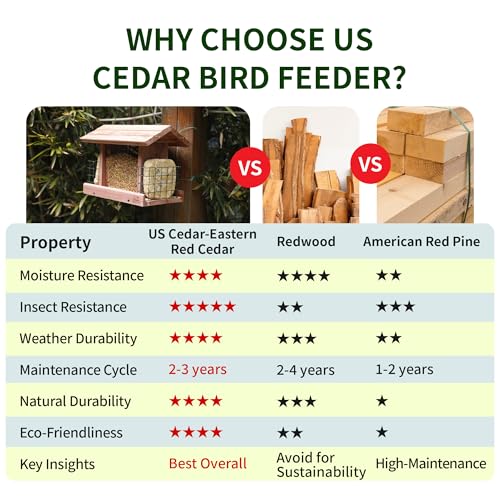 Solution4Patio Squirrel-Proof Cedar Hopper Bird Feeder, Dual Suet Holder - style: Rectangle