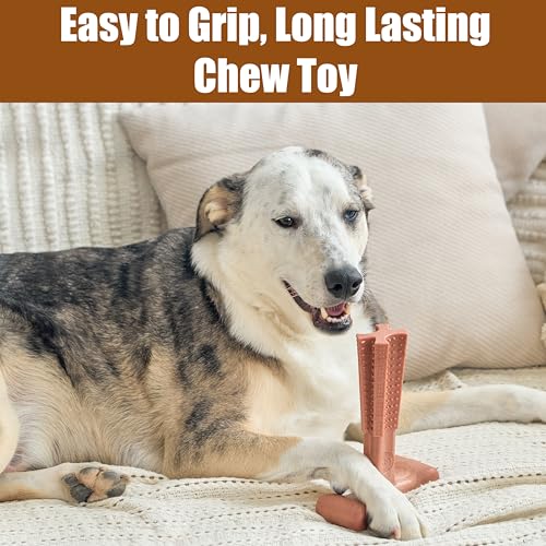SPOT Bam-Bones Plus T-Bone Dog Chew, Beef, 7in, 60-90 lb Heavy Chewers - size: Large