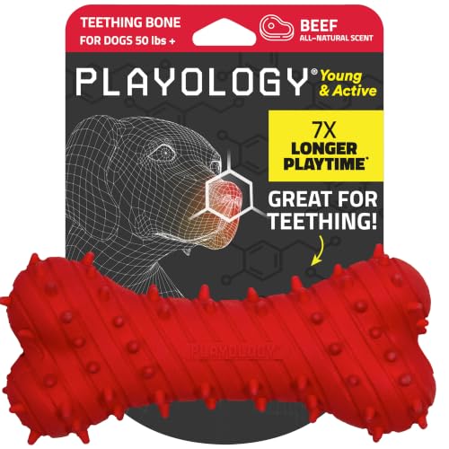 Playology Puppy Teething Bone Dog Chew Toy - Jumbo, Beef Scent - size: Jumbo, style: Beef