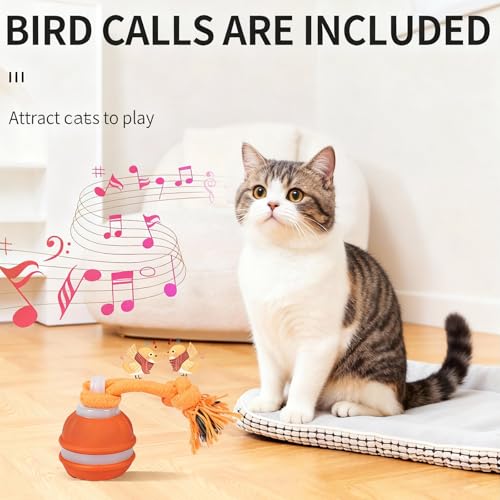 Interactive Dog & Cat Toy, Auto Chirping Ball, Rechargeable Self Play - color: 1 Blue