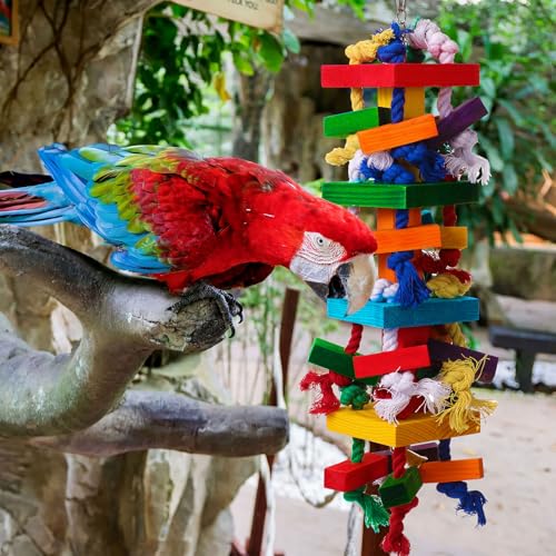 Soulchen 4 Pcs Extra Large Bird Parrot Toy Set, Natural Wooden Chewing Toy - style: Colorful Ring