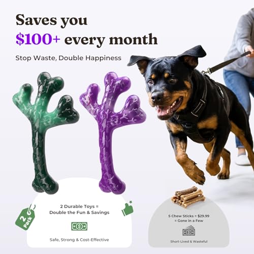 Frienhund 2-Pack Tough Dog Chew Toys for Aggressive Chewers, Beef, 20-90 Lb - color: Green & Purple-2-Pack
