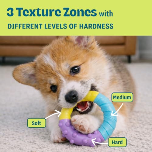 Grow-With-Me Ring Dental Dog Chew Toy, Bounces & Floats, 4.7" - color: Ring