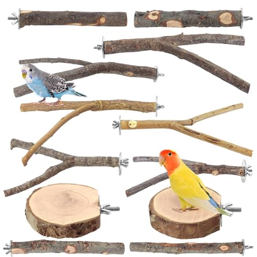 12 Pcs Natural Wood Bird Perch Stand & Platform Set for Cages - size: Deluxe Playground Set - 12PCS