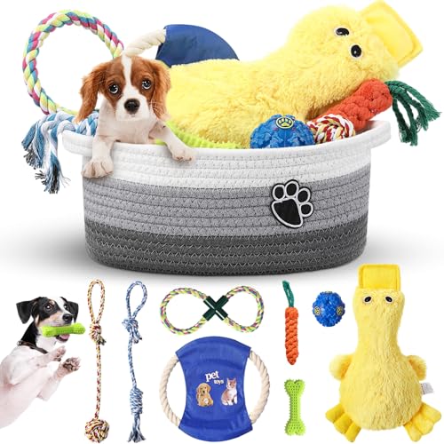 Zopeal Dog Toy Gift Basket Set for Puppy Birthday, Gray - color: Gray