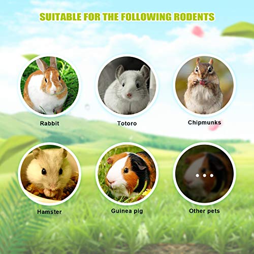 8 Pcs Small Animals Play Balls Rolling Activity Chew Toys Gnawing Treats for Rabbits Guinea Pigs Chinchilla Bunny Natural Balls, Pet Cage Entertainment Accessories (8 Pcs+ Pine Cone) - color: 8 Pcs+ Pine cone